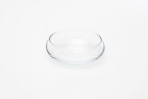 VIDRO - SALADEIRINHA 1