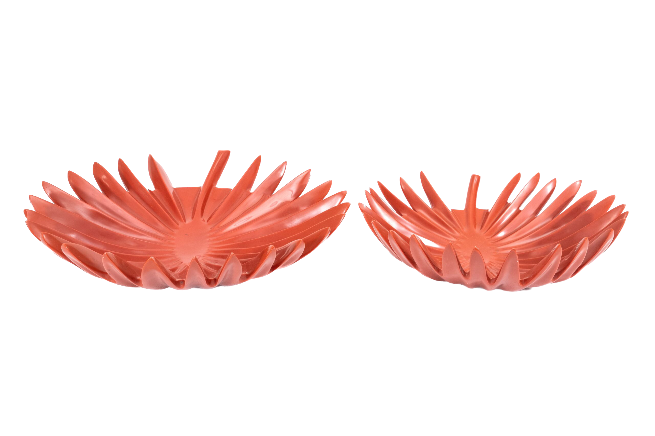 CORAL - BOWL AMAZONAS